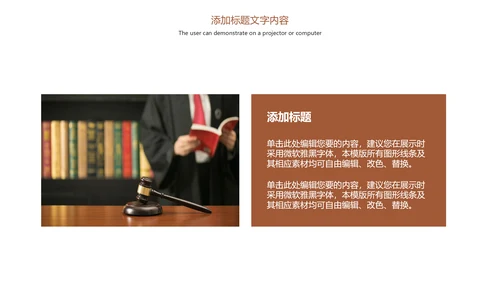 简约大气法律法规廉政文化动态PPT模板