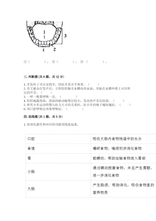 教科版四年级上册科学期末测试卷【模拟题】.docx