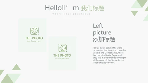 录色医生进修个人总结动态动态PPT