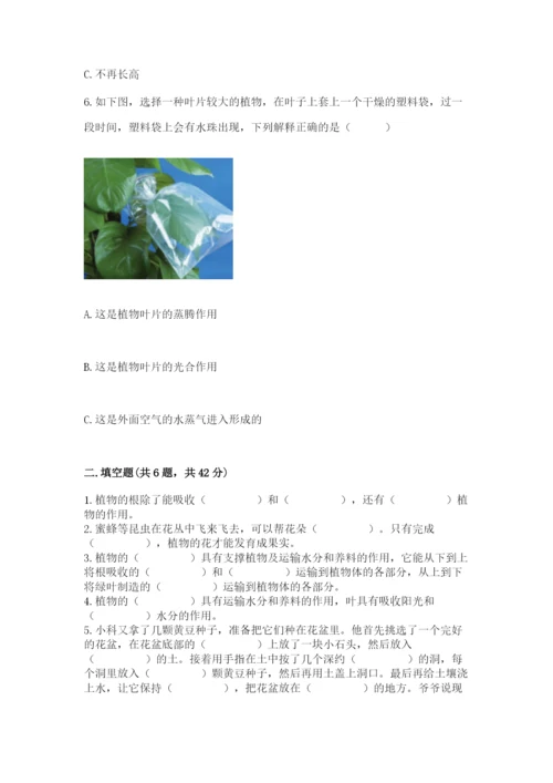 科学四年级下册第一单元植物的生长变化测试卷精编.docx