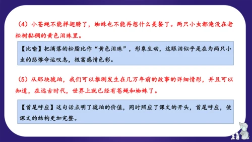 统编版四年级语文下学期期中核心考点集训第二单元（复习课件）