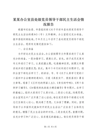 某某办公室县处级党员领导干部民主生活会情况报告.docx