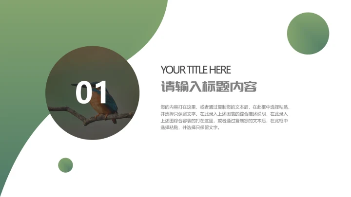 人与自然大熊猫活动宣传通用PPT模板