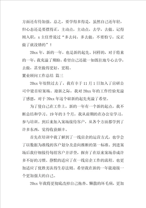 2022置业顾问工作总结优秀6篇