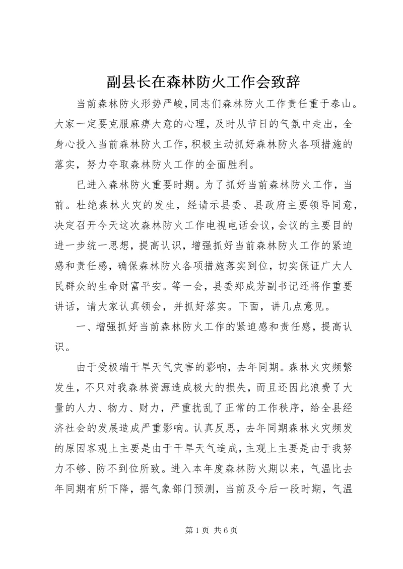 副县长在森林防火工作会致辞.docx