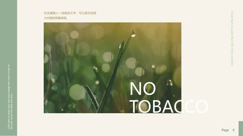 高级极简风世界无烟日主题PPT模板