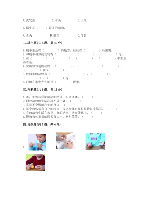 教科版小学科学一年级下册期末测试卷精品【名校卷】.docx