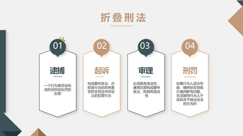 严谨大气法律法学律师工作汇报动态PPT模板