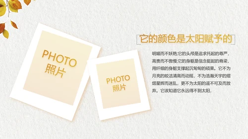 致青春毕业季大学毕业纪念册相册PPT