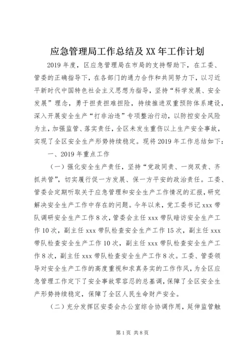 应急管理局工作总结及XX年工作计划.docx