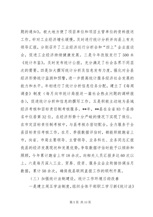 统计局工作总结和工作计划精编.docx