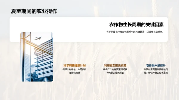 夏至气象与农业策略