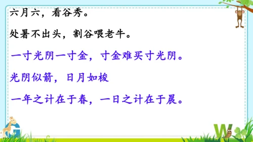 第16课《夏天里的成长》教学课件