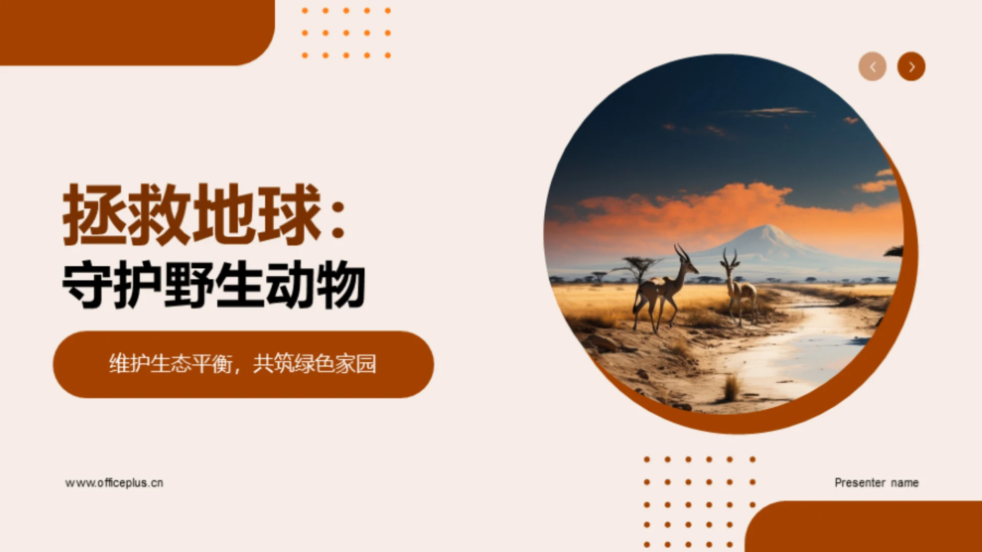 拯救地球:守护野生动物