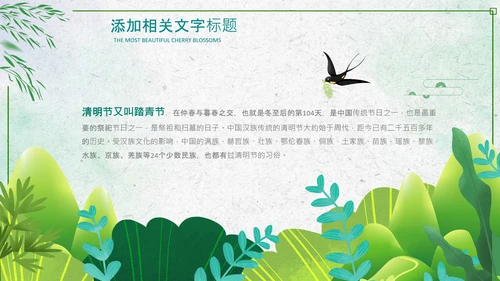 绿色小清新清明节文化习俗介绍主题班会ppt模板