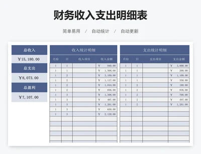 财务收入支出明细表