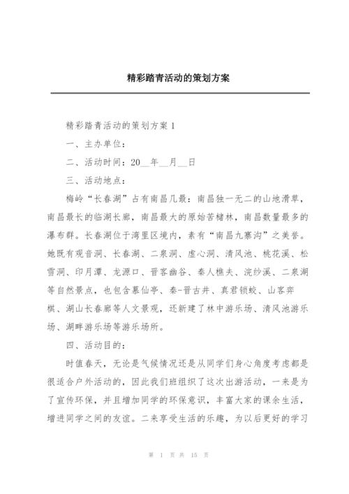 精彩踏青活动的策划方案.docx