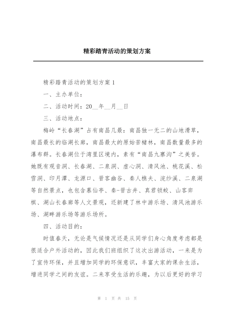 精彩踏青活动的策划方案.docx