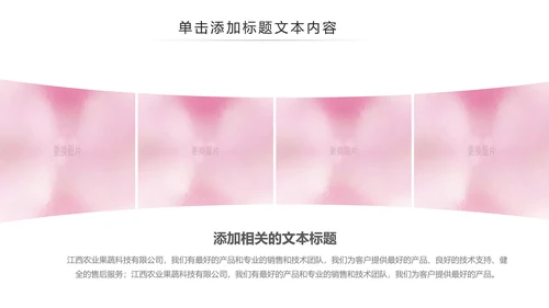 2019团委共青团年终总结工作汇报PPT