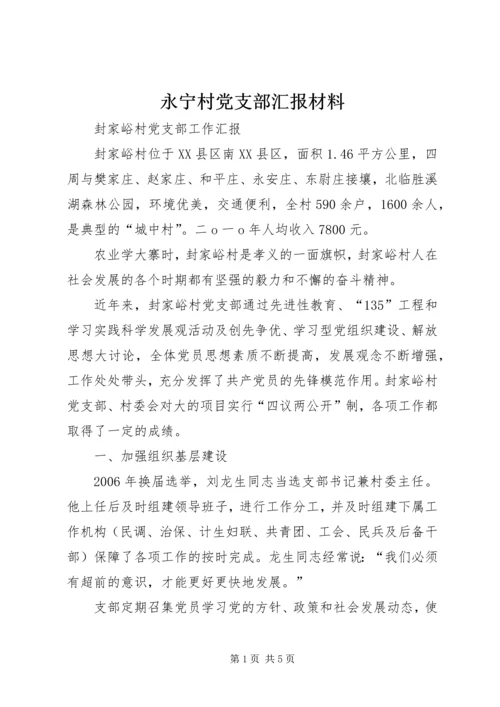 永宁村党支部汇报材料 (2).docx