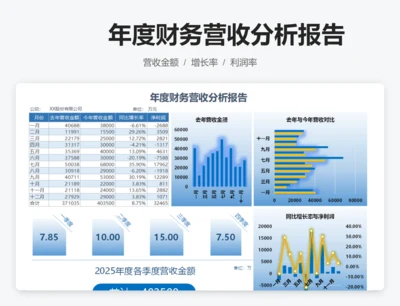 年度财务营收分析报告