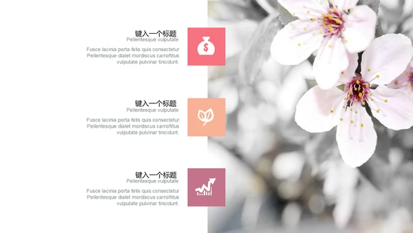 商务演讲商业讲演报告通用PPT模版