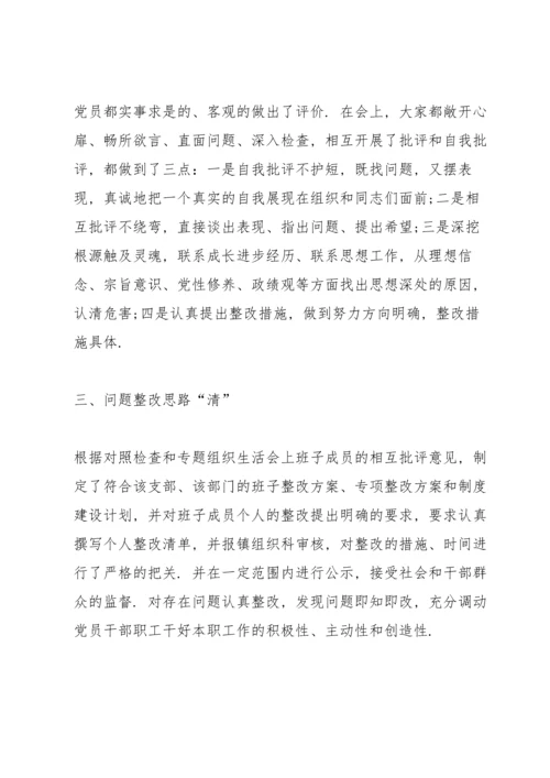专题组织生活会和民主评议党员工作总结.docx