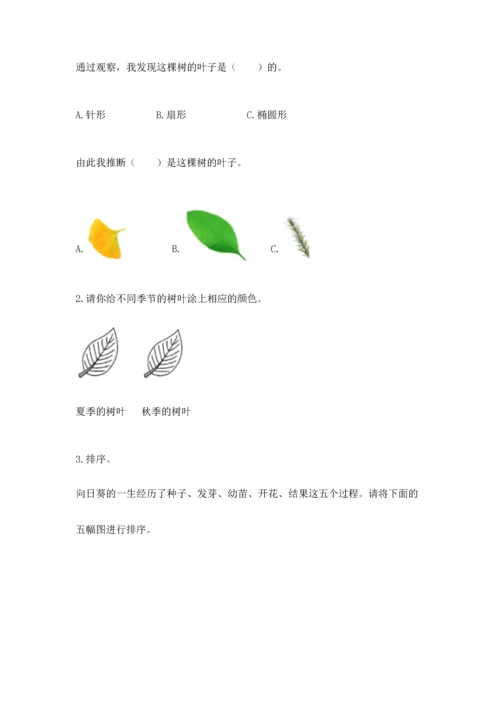 教科版科学一年级上册第一单元《植物》测试卷【轻巧夺冠】.docx