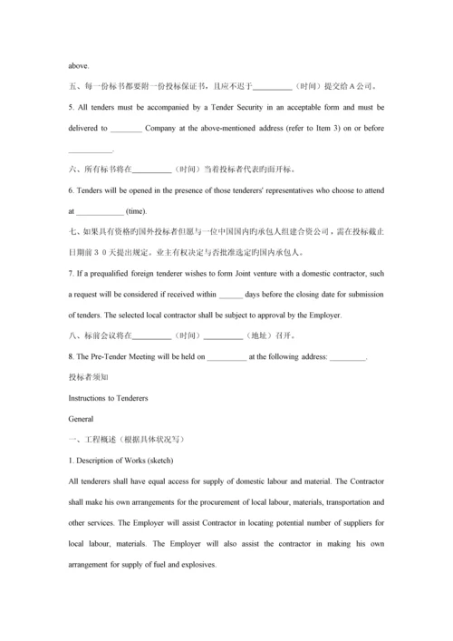 国际关键工程全新招标专项说明书格.docx