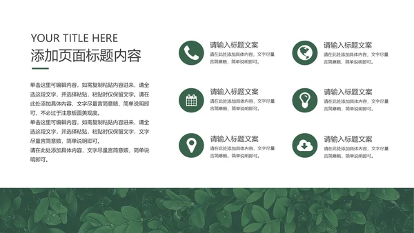 绿色清新简约风月度总结PPT模板