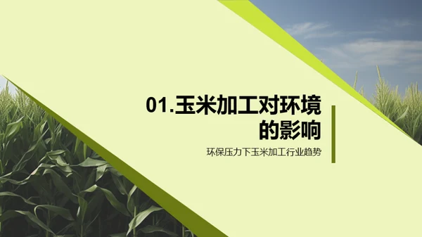 环保型玉米加工新时代