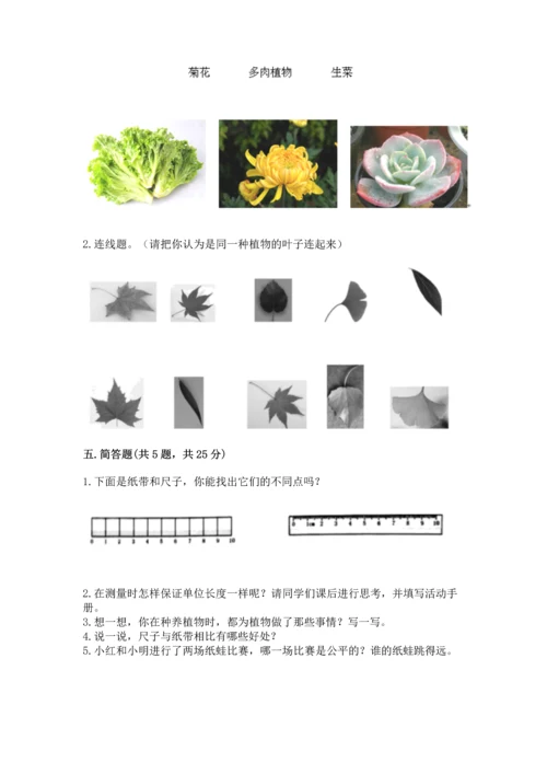 教科版一年级上册科学期末测试卷（培优）.docx