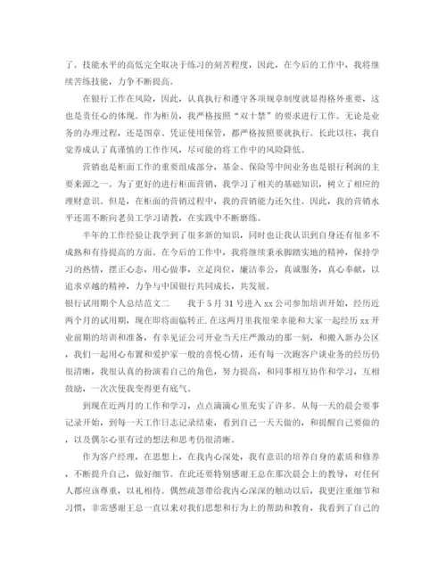 精编之银行试用期个人总结范文.docx