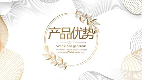 简约大气公司产品介绍宣传通用PPT