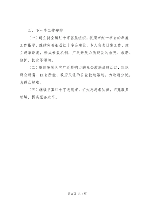 乡镇红十字会半年工作总结.docx