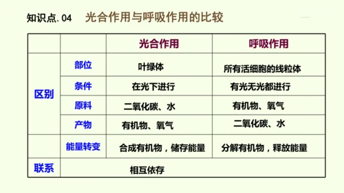 3.2.3呼吸作用-七年级生物下学期同步精品课件（2024人教版）(共24张PPT)