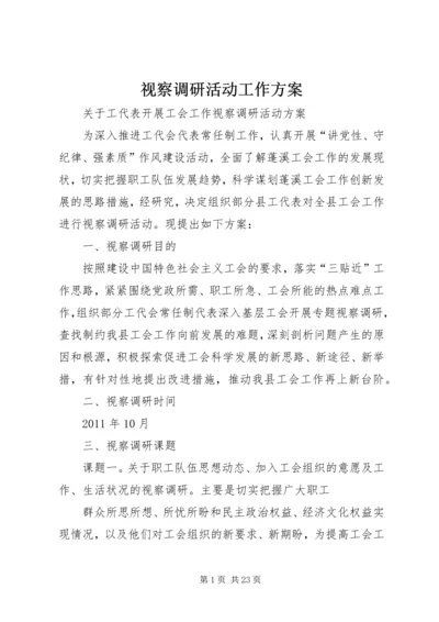 视察调研活动工作方案.docx