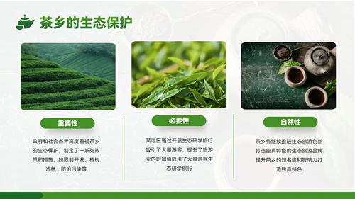绿色质感风茶乡之旅的生态魅力PPT模板