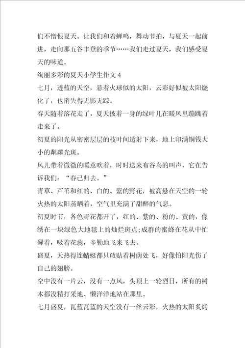 绚丽多彩的夏天小学生作文