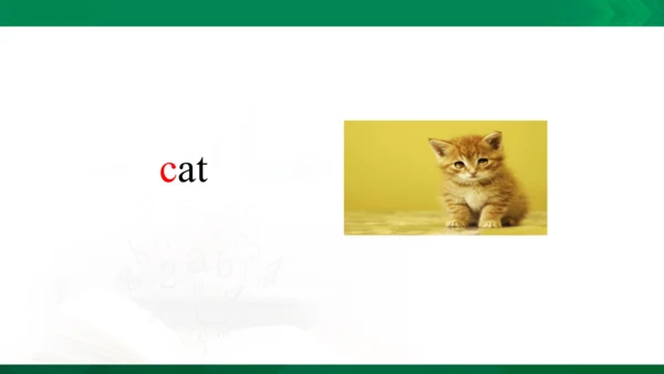 Unit 1 My Family Lesson3课件(含嵌入flash动画）