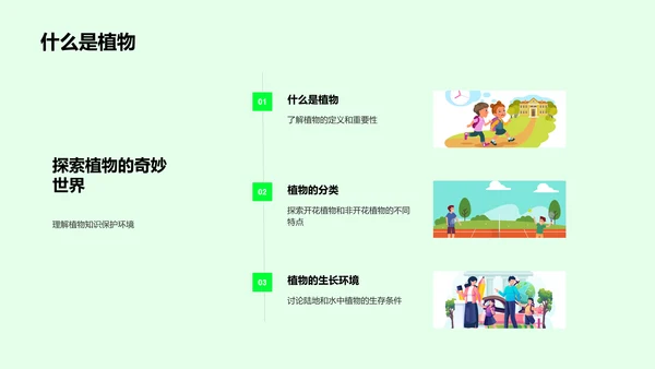 小学科学教学——植物世界