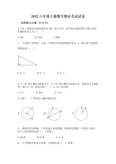 2022六年级上册数学期末考试试卷完美版