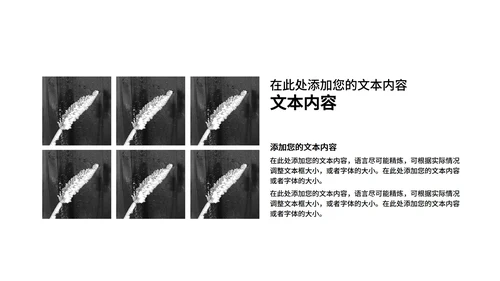 黑色商务风极简工作总结汇报PPT模板