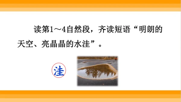 【同步课件】 5.铺满金色巴掌的水泥道   课件（2课时）