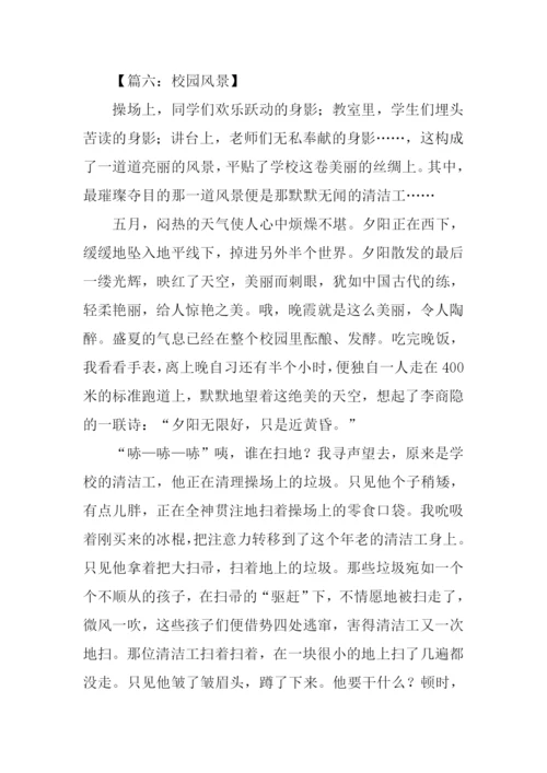 描写校园风景的作文800字.docx