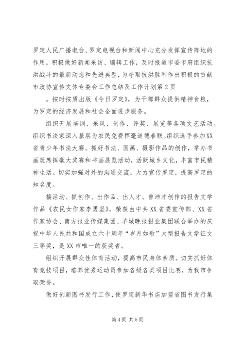 市政协宣传文体专委会工作总结及工作计划.docx