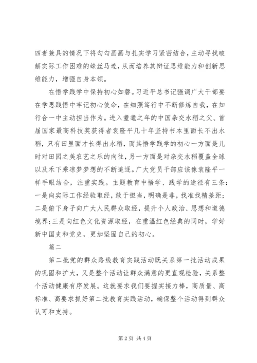 第二批主题教育心得体会两篇.docx