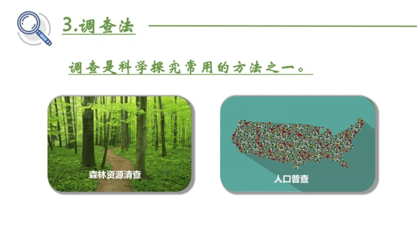 七上第一单元 生物和生物圈复习课件(共26张PPT)