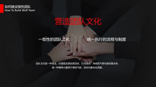 狼性文化教学企业团队培训PPT课件