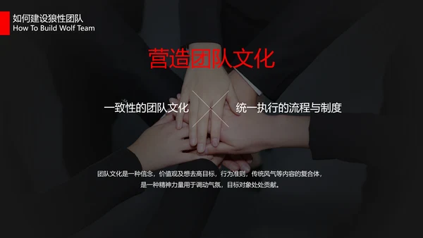狼性文化教学企业团队培训PPT课件